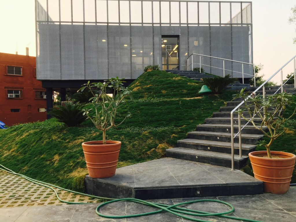 img 0700 (1)